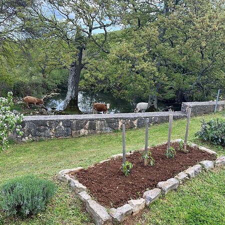 Holiday House Green Dream Obrovac Luaran gambar