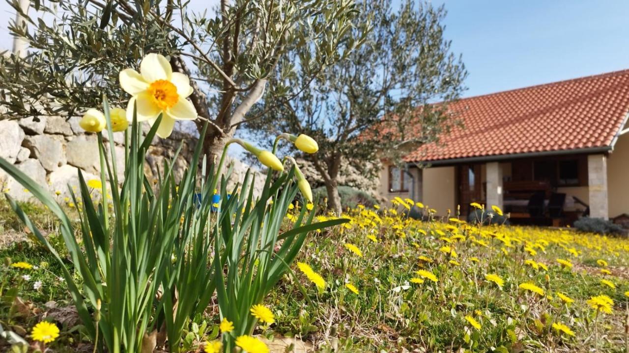 Holiday House Green Dream Obrovac Luaran gambar