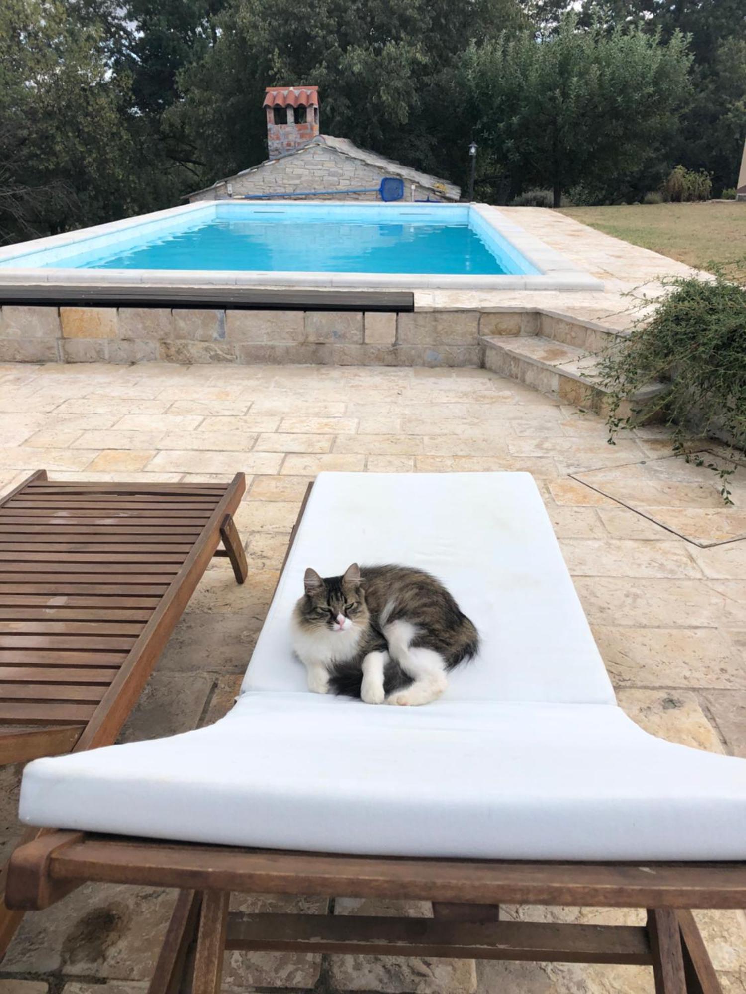 Holiday House Green Dream Obrovac Luaran gambar